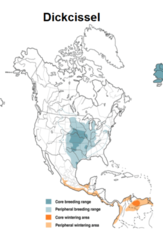 <p>Winter in SA, core breeding in central US</p>