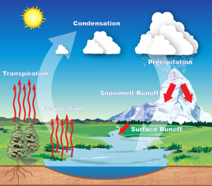 <p>water cycle</p><ol><li><p>evaporation</p></li><li><p>condensation</p></li></ol><ol start="3"><li><p>precipitation</p></li></ol><p></p>