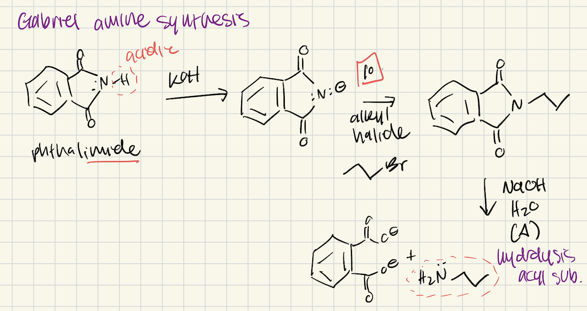 <p>Start with pthalimide</p><ol><li><p>KOH</p></li><li><p>Primary alkyl halide</p></li><li><p>NaOH, H<sub>2</sub>O, heat (acyl sub hydrolysis)</p></li></ol><p></p>