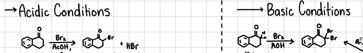 <p>Can occur under basic or acidic conditions. In its acidic form will replace the least sterically hindered ⍺-hydrogen with a halogen. In its basic form will replace the least sterically hindered total amount on one side of the carboxyl of ⍺-hydrogens with halogens. </p><p>Acidic Reagents: X2, AcOH, heat</p><p>Basic Reagents: X2, KOH</p>