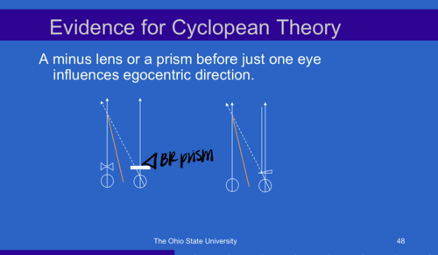 <p>A minus lens or a prism before JUST ONE EYE, (will/will not) influence the egocentric direction of the target</p>