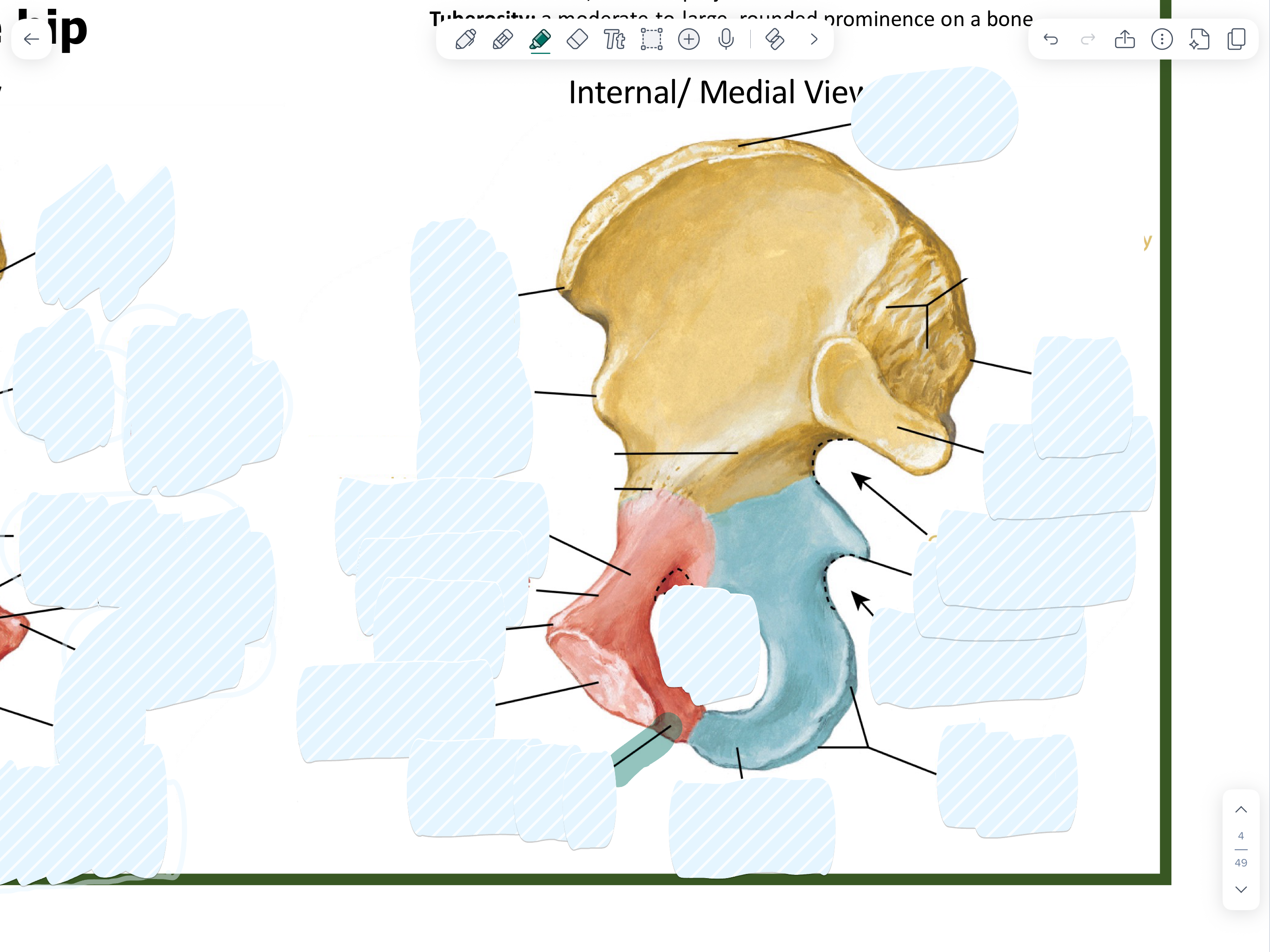 knowt flashcard image