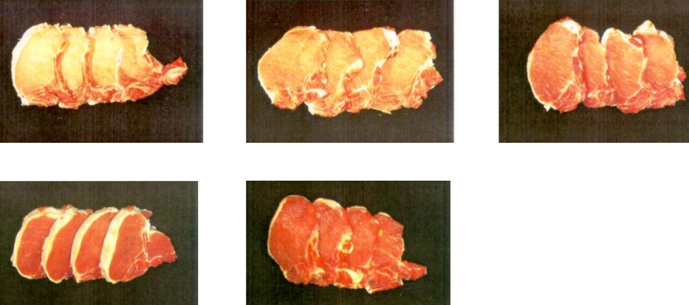 <p>couleur viande et capacité à retenir l’eau</p>