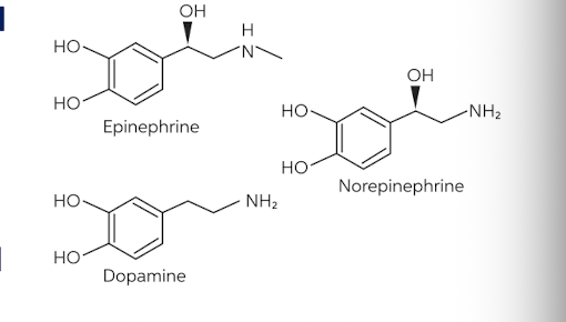 <ul><li><p>distinct structure of benzene ring with 2 -OH groups (catechol) and an ethyl chain with terminal amine group</p></li><li><p>produced mainly by adrenal medulla and postganglionic fibers of SNS</p></li><li><p>in CNS, dopamine, norepinephrine, and epinephrine are neurotransmitters</p></li><li><p>dopamine (DA) is present in mammalian brain, with highest lvls in the striatum</p></li></ul><p></p><p></p>