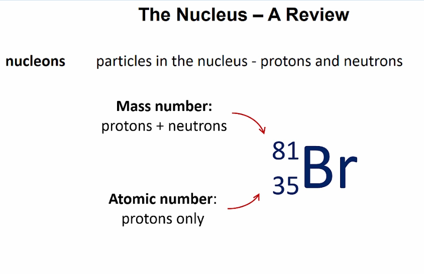 <p>Particles in a nucleus - protons and neutrons</p>