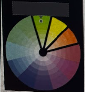 <p><span>What is this color wheel?</span></p>