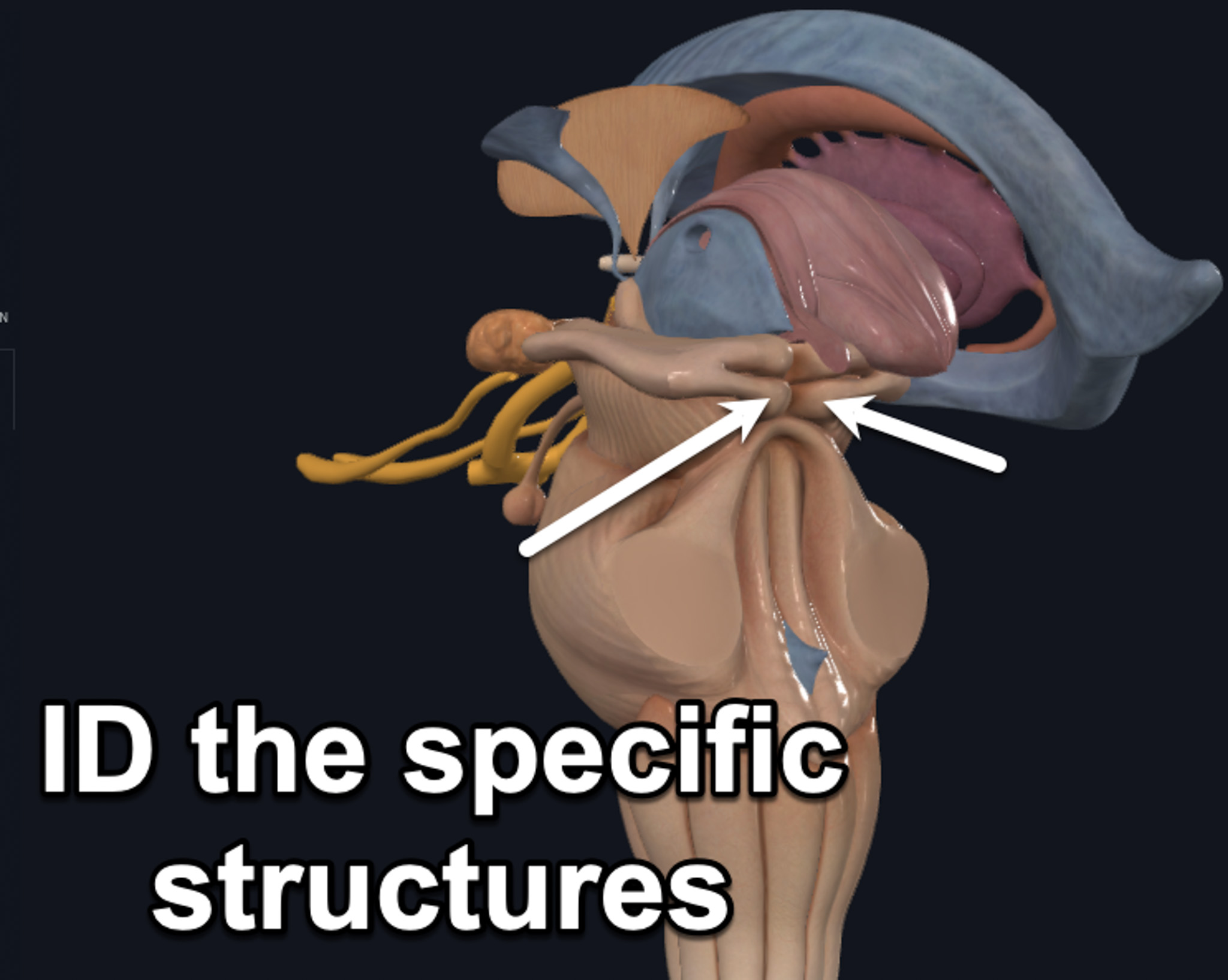 term image