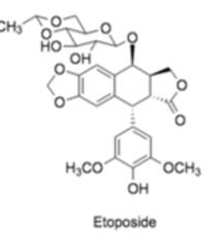 <p>[CELL CYCLE SPECIFIC AGENTS]</p><p>a. Topotecan</p><p>b. Irinotecan</p><p>c. Predinisone</p><p>d. Hydroxyurea</p><p>e. Bleomycin</p><p>f. Etoposide</p><p>g. Teniposide</p><p>h. Paclitaxel</p><p>i. Docetaxel</p><p>j. Vincristine and Vinblastine</p><p>k. Vinorelbine</p>