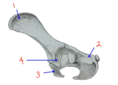 <p>what area is 4</p>