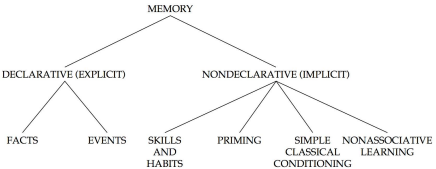 <p>(declarative )explicit- facts &amp; events</p><p>(non-declaritive) implicit- skills &amp; habits, priming, simple classical conditioning, nonassociative learning</p>