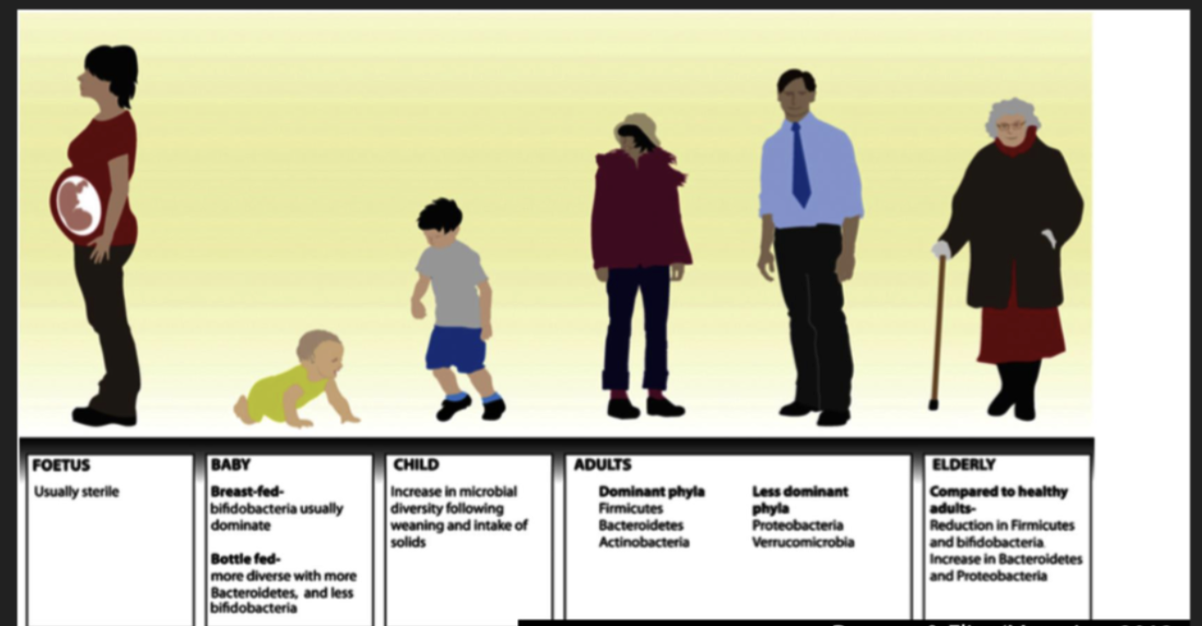 <ul><li><p>Young adults in the same geographical area have relatively similar gut microbiomes</p></li><li><p>From the mid age, their microbiome appear to progressively change, acquiring an “unique” signature in old age.</p></li><li><p>The more their microbiome have changed, the healthier the individual appeared in old age</p></li></ul><p></p>
