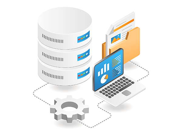 <p>Database</p>