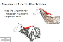 <p>DONT HAVE TO ID</p>