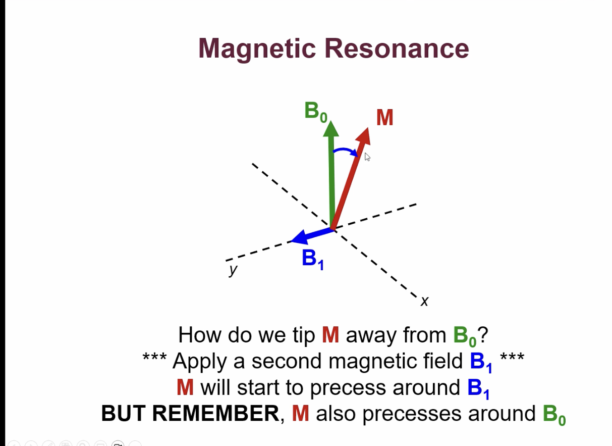 <p>when subject is in MRI scanner the bulk magnetisation(M), aligns along the B0 direction. Because M isn’t moving we can’t detect it, so we need to tip it so it can precess.</p><p>to tip M away from B0 we need to apply a second magnetic field(B1) perpendicular to M.</p><p> M starts to precess around B1.</p><p>M will soon then be on opposite side of B0 Now B1 will push M back up towards B0.</p>