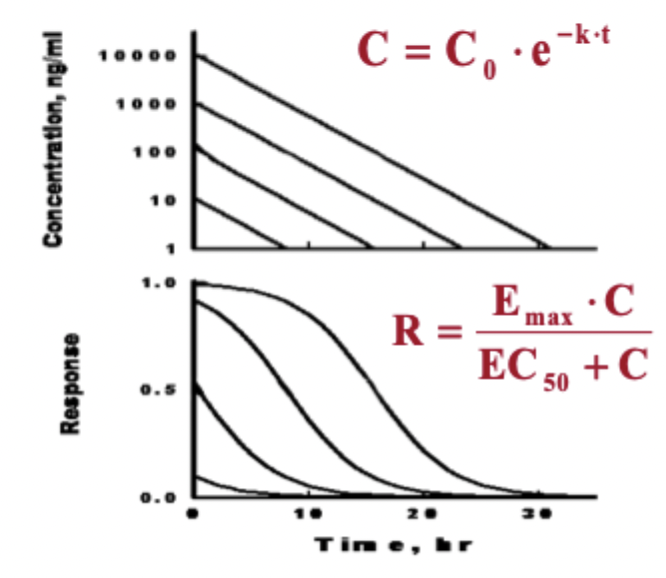 <ul><li><p>PK → Linear decrease of concentration over time</p></li><li><p>PD → decrease in response over time, increasing dose increases duration, highest doses hit plateau</p></li></ul><p></p>