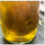 <p>__________ - thick undergound storage stem usually having outer buds and lacking storage leaves and scales (<em>Solanum tuberosum) </em></p>