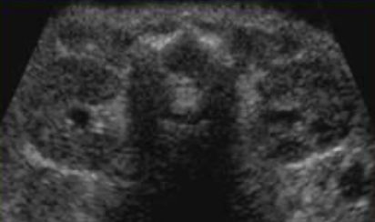 <p>what plane was this taken in?</p>