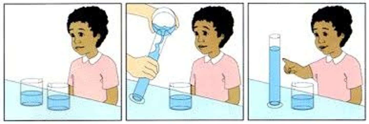 <p>AGE RANGE: 2-7 years</p><p>KEY IDEA: The child uses symbols and language but thinks in a very concrete way.</p><p>EXAMPLE: A child thinks the bigger glass has more juice.</p><p>WHAT THE CHILD CAN DO:</p><p>- Uses words and pictures. Thinks is egocentric (sees things from their own point of view).</p><p>- Has trouble understanding that quantity stays the same (conservation).</p>