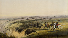 <p>Environment: Dry grassland: Built teepee homes from bison skin, nomadic lifestyle</p><p>Limited farming</p><p>Climate: Hot & cold, dry</p><p>Bison skin clothing</p><p>Life centered around the bison because farming was limited</p>