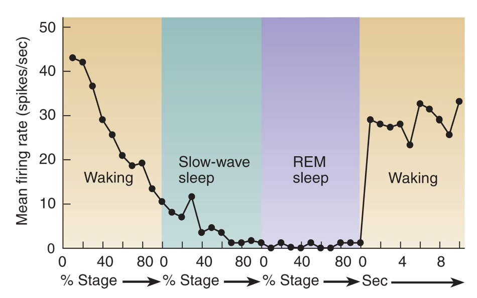 <p>what does this graph show?</p>