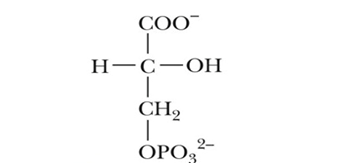 <p><span>Name this molecule [1]</span></p>