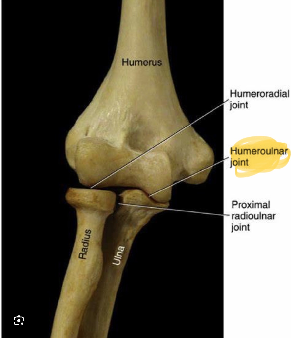 knowt flashcard image