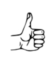 <p>What is this hand signal?</p>