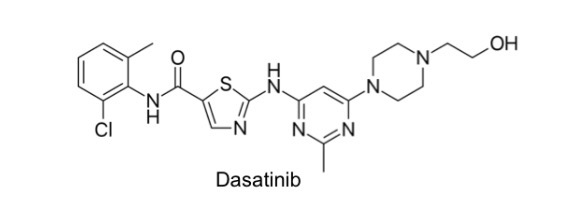 <p>Tyrosinkinase Inhibitor </p>