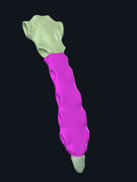 term image