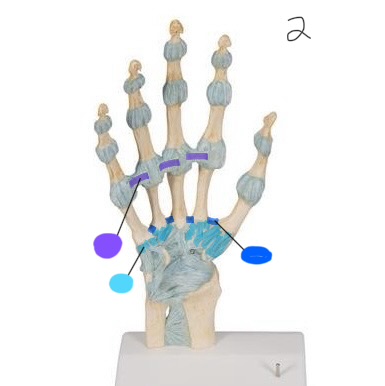 <p>CYAN</p>