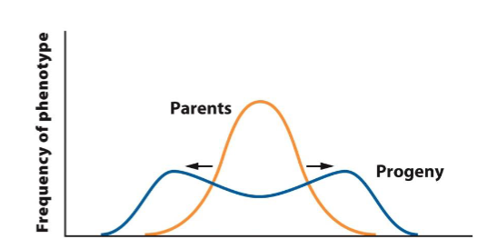 <p><span>when individuals with either extreme phenotype</span><br><span>experience higher fitness than individuals with an intermediate phenotype</span></p>