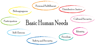 <p>Human needs theory of conflict</p>