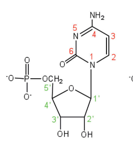 <p>nucleoside or nucleotide?</p>