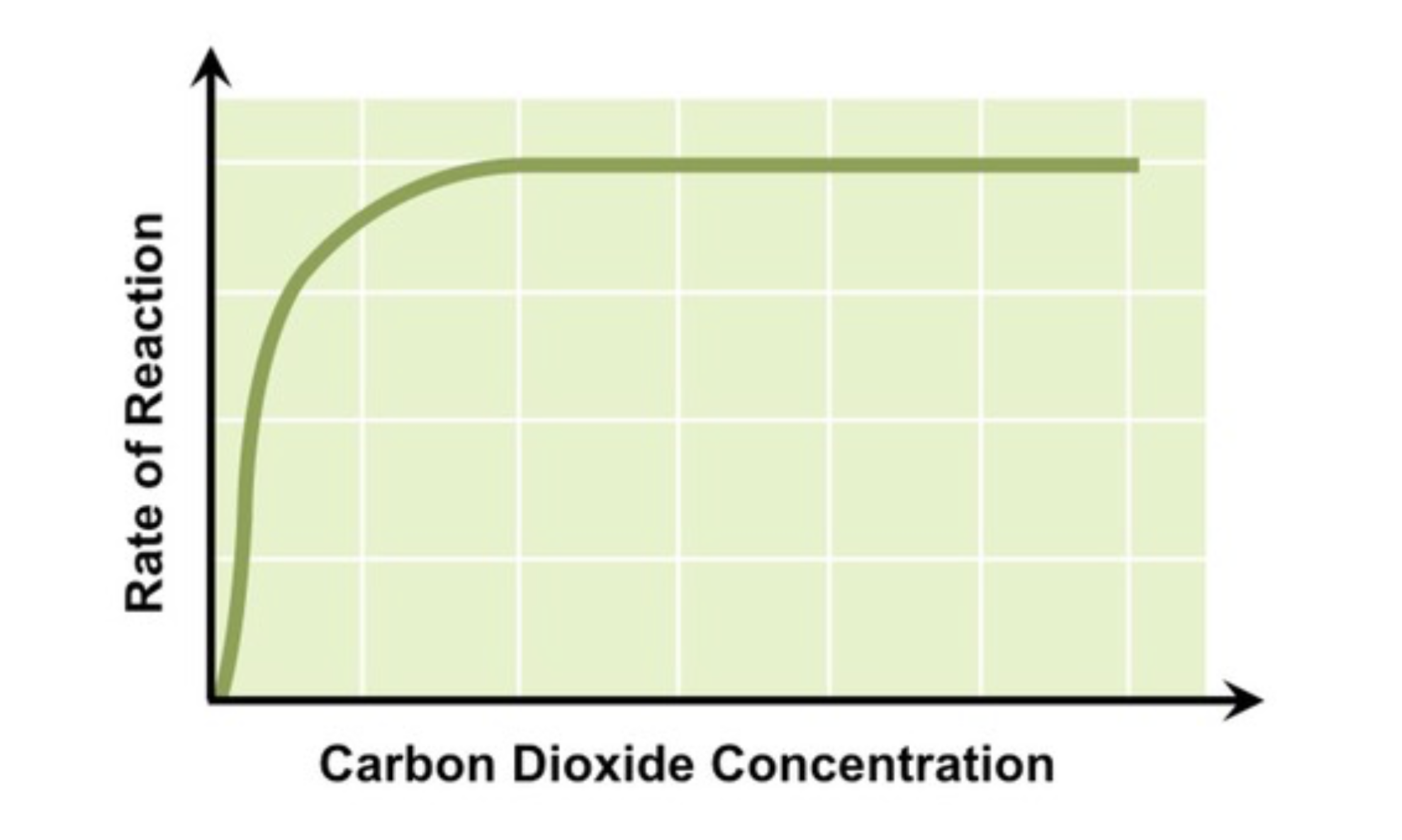 <ul><li><p><span>Carbon dioxide is involved in the fixation of carbon atoms to form organic molecules</span></p></li><li><p><span><strong>As carbon dioxide concentration increases reaction rate will increase, as more organic molecules are being produced</strong></span></p></li><li><p><span>At a <strong>certain concentration of CO</strong></span><strong><sub>2</sub></strong><span><strong>&nbsp;photosynthetic rate will plateau, as the enzymes responsible for carbon fixation are saturated</strong></span></p></li></ul><p></p>
