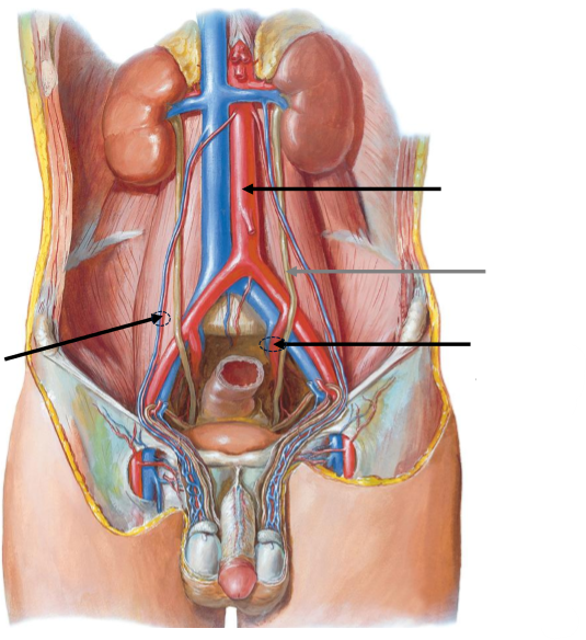 <p>Label the following diagram</p>