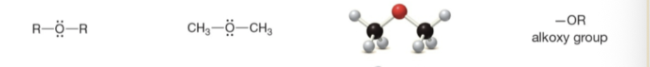 <p>Type of Compound → General Structure → Example → 3-D Structure → Functional Group</p>