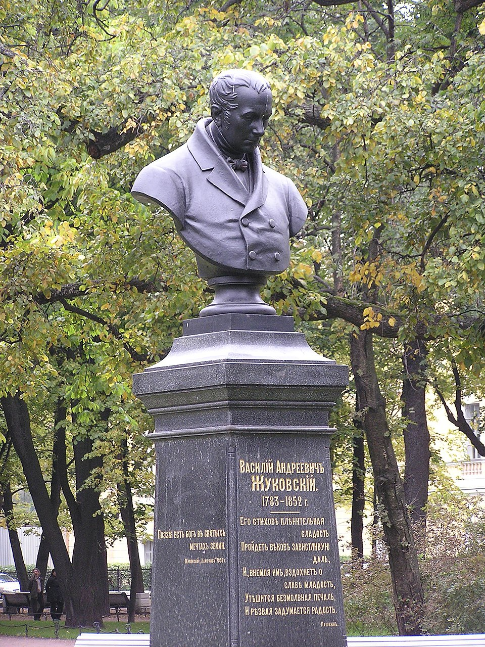 term image