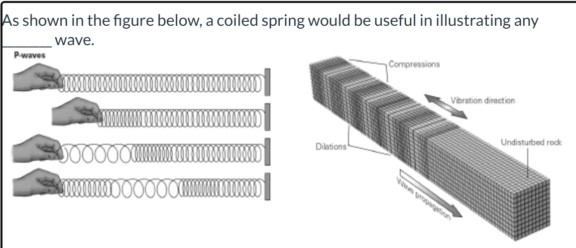 <p><span>As shown in the figure, a coiled spring would be useful in illustrating any ________ wave.</span></p>