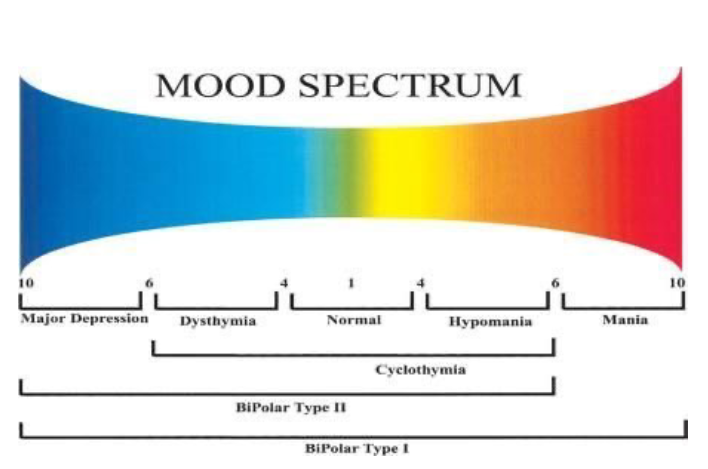 <ul><li><p><strong>Bipolar I</strong>:</p><ul><li><p><strong>Full mania</strong> (may also have depression)</p></li></ul></li><li><p><strong>Bipolar II</strong>:</p><ul><li><p><strong>Hypomania + major depression</strong></p></li></ul></li><li><p><strong>Cyclothymia</strong>:</p><ul><li><p><strong>Mild highs + mild lows</strong> (not full episodes)</p></li></ul></li><li><p><strong>Key idea</strong>:</p><ul><li><p>Severity increases: <strong>Cyclothymia → Bipolar II → Bipolar I</strong></p></li></ul></li><li><p><strong>Note</strong>:</p><ul><li><p>Cyclothymia = <strong>no full hypomanic or depressive episodes</strong></p></li></ul></li></ul><p></p>