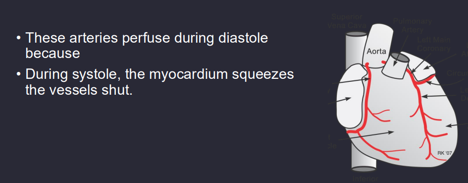 <p><span style="background-color: transparent; font-family: "Times New Roman", serif;"><strong>coronary blood flow</strong>: perfusion to the heart muscle itself</span></p>