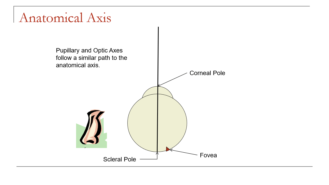 <p>The anatomical axis is the line joining the corneal pole and scleral pole. It is not ideal for fixation because the fovea is not located at the scleral pole, so it does not represent the true line of sight.</p>