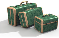 <p>luggage, suitcase</p>