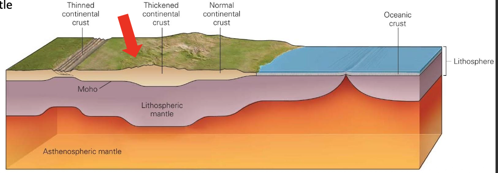 <p><strong>2 TYPES OF LITHOSPHERE:</strong></p><p>Continental Crust + Uppermost Mantle</p><p class="p2">⢠Continents, light and old</p><p class="p2">⢠Thickness: 100 to 280 km</p><p class="p2">⢠Density: 2.7 g/cm3</p><p class="p2">⢠Composition:</p><p class="p3">⢠Felsic Crust (Granodiorite)</p><p class="p3">⢠Ultramafic Mantle</p><p class="p3">(Peridotite)</p>