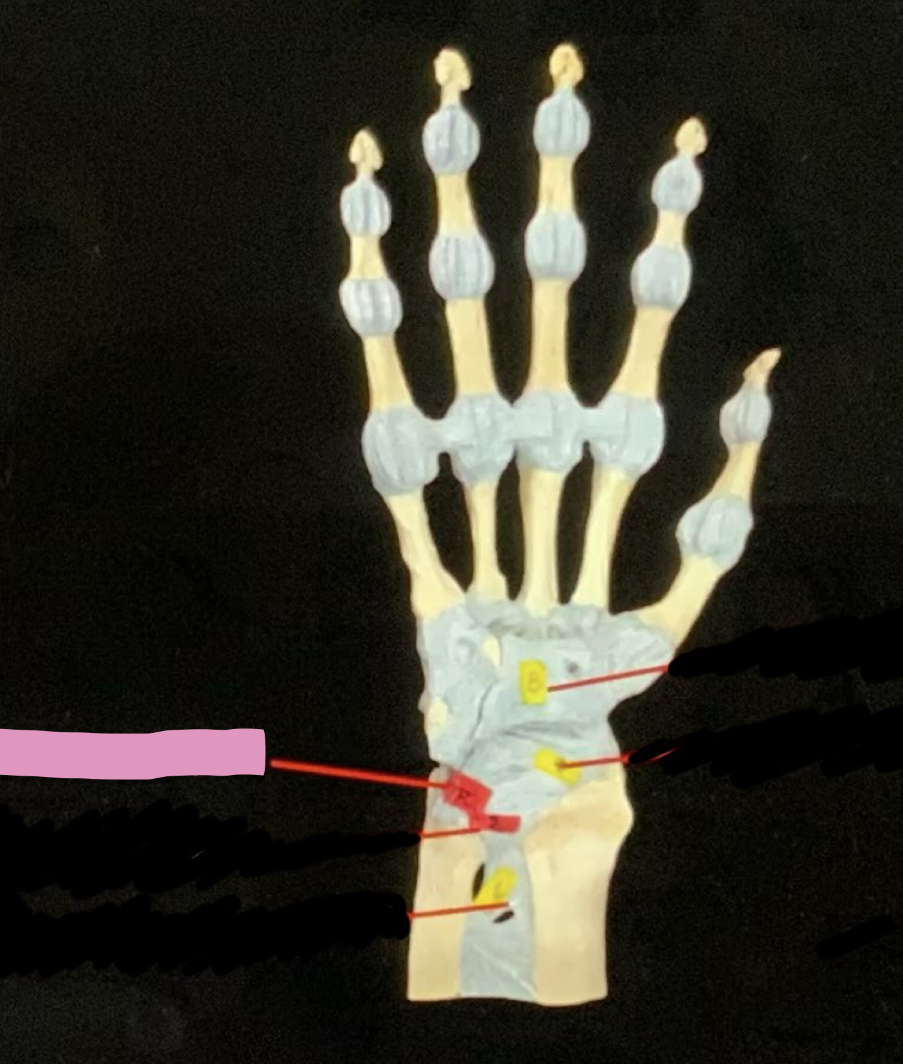 <p>what is this </p>