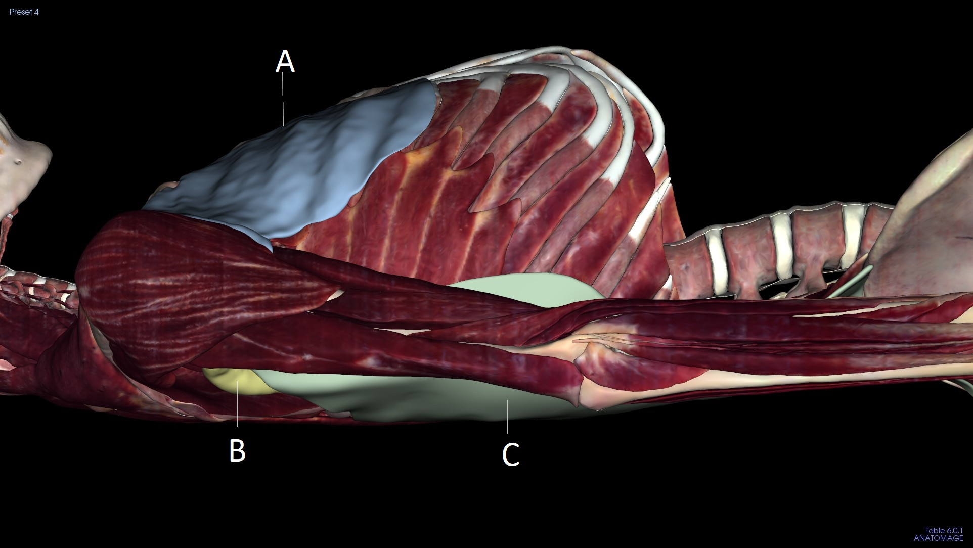 <p>B</p>