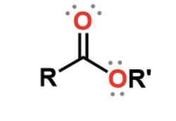 <p>Ester to (Carboxylic Acid) + (Alcohol)</p>
