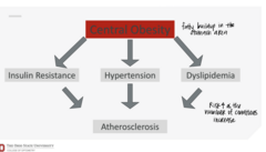 <p>What is the root cause of metabolic syndrome?</p>