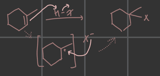 <p>Hydrohalogenation; Markovnikov addition of halogen (X) and an H across alkene</p>