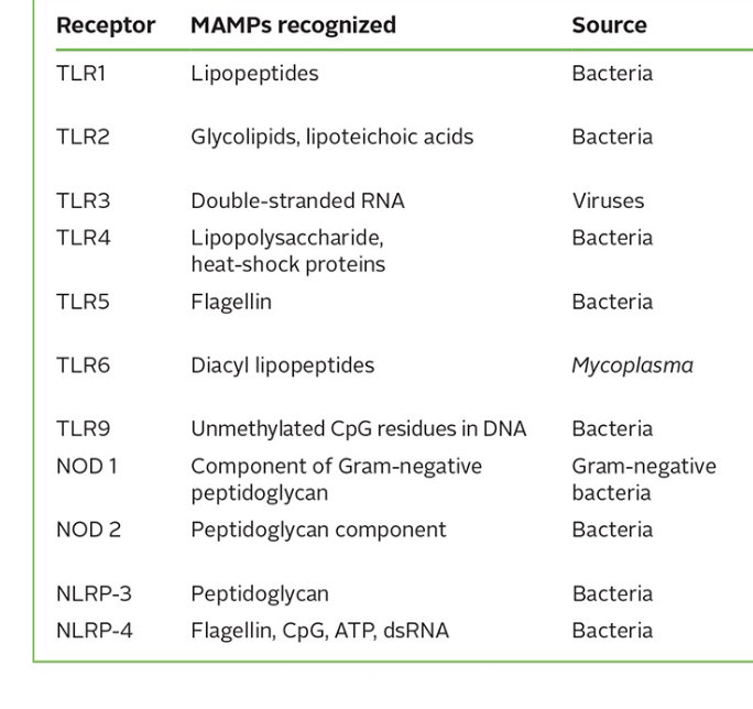 <p>MAMPS are things unique to non human cells, such as flagella and peptidgolycan (only seen in bacteria), or things like chitin (only seen in fungi) </p><p>see image</p>
