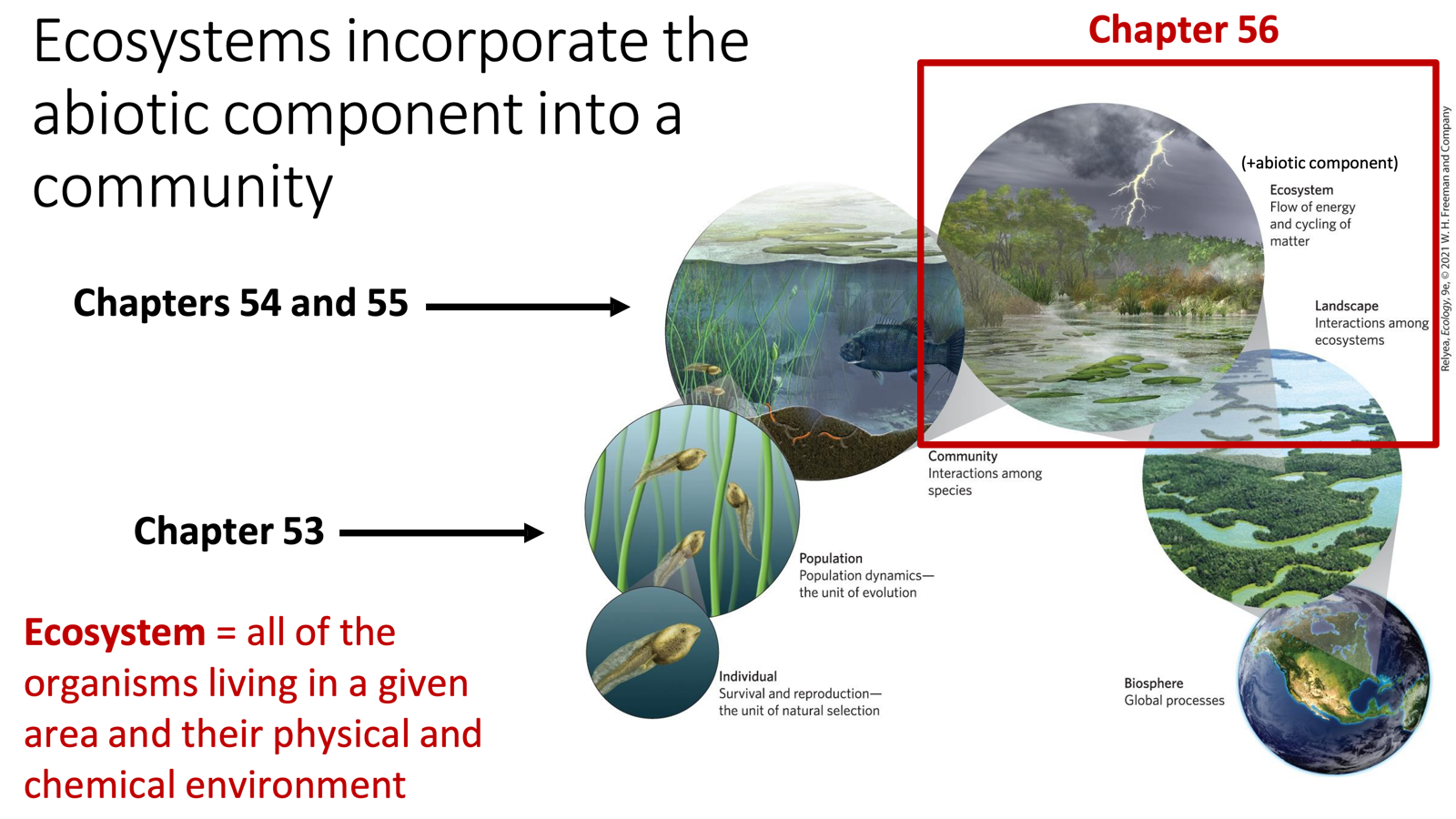<ul><li><p><span style="font-family: Arial, sans-serif;">All organisms living in a given area AND their physical/chemical (abiotic) environment</span></p><ul><li><p><span>Ecosystems </span>combine the community (Chp. 54–55) with the abiotic component.</p></li></ul></li></ul><p></p>